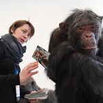 Una especie de humanos extinta ‘resucita’