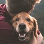 Aprende a calcular la ‘edad humana’ de tu amigo fiel: ¿cuántos años tiene tu perro?