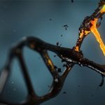 El ‘ADN basura’, la otra causa del desarrollo del cáncer