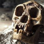 El Hobbit, el hallazgo que cambió la historia de la humanidad.