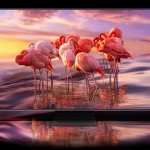 Samsung quiere reinventar el OLED: invertirá más de 10.000M€ en paneles ‘Quantum Dot-OLED’ para disputar el dominio de LG