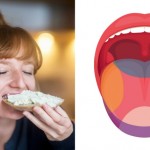 Se llama umami y es el quinto sabor que detecta nuestro sentido del gusto; ¿qué alimentos lo componen?