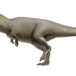 Hallan una nueva especie de dinosaurio con ‘dientes de tiburón’