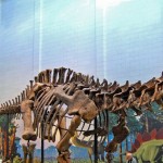 Los ‘tacones’ que usaban los dinosaurios