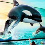 Investigadores chinos crean tabletas para ver en 3D sin gafas.