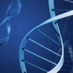 China lleva a cabo los primeros experimentos genéticos con humanos