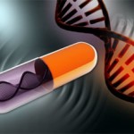 La complejidad creciente de los factores de transcripción permitió la evolución de los seres vivos