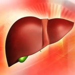 Transforman células de la piel en células hepáticas funcionales