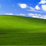 La foto más vista de la historia: el fondo de pantalla de Windows XP