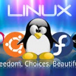 Una distribución Linux para cada tipo de usuario