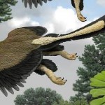 La primera ave llevaba un «pantalón de plumas» 