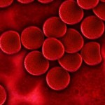 ¿Por qué tenemos distintos tipos de sangre?