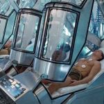 La hibernación del pez cebra ofrece pistas para vuelos espaciales humanos saludables