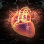 Bacterias fotosintéticas para tratar corazones dañados