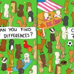 7 differences