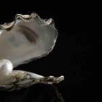Averiguan cómo obtienen las perlas su notable simetría