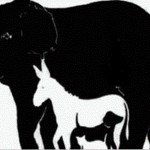 Test visual: ¿Cuántos animales logras ver?