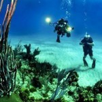 Científicos hallan 200 mil virus marinos