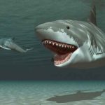 Nuevo estudio muestra que no tenemos idea de cómo era realmente el megalodon