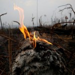 Brasil rechazará la ayuda del G-7 para combatir incendios en la Amazonía
