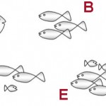 Extraños pescadores