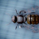Abejas robóticas serán una realidad