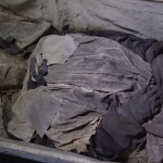 Una nueva técnica de rayos X permite ver vasos sanguíneos y células de las momias