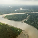Gran descubrimiento en las profundidades del Amazonas