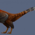 Un «pollo» gigante y con dientes, el nuevo dinosaurio del Cretácico