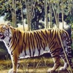 Nadie puede ver al Segundo Tigre en esta Imagen. ¿Tú eres Capaz?