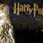 Dos nuevos libros de Harry Potter llegarán en octubre para celebrar los 20 años del mago