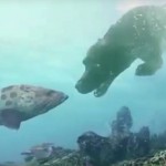 Rusia desarrolla una tecnología única para respirar en el agua