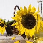 Estudio inquietante: El aceite de girasol puede causar cáncer de hígado