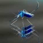 Crean un radar para salvar al mundo de los mosquitos asesinos