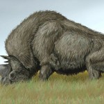 120 elefantes y rinocerontes prehistóricos: Revelan los hallazgos en una caldera volcánica en Rusia