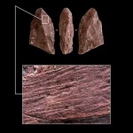 Hallan un ‘lápiz’ de hace casi 50.000 años en una cueva en Rusia