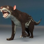 El ‘abuelo’ del diablo de Tasmania vuelve a ponerse en pie