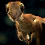 ‘Pequeño monstruo mullido’: Paleontólogos reconstruyen la apariencia de una cría de Tyrannosaurus rex