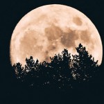 Rusia desarrolla una nueva sonda para traer suelo lunar congelado a la Tierra