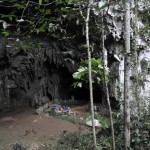 Descubren una nueva especie humana, el ‘Homo luzonensis’