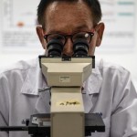 Científicos descifran el secreto de un gusano sin boca ni intestino que ha sobrevivido por 500 millones de años