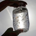 Estudio: consumimos hasta 120.000 partículas de plástico al año sin saberlo
