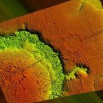 Descubren en la Amazonia una red oculta de antiguos pueblos construidos en forma de reloj