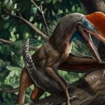 Identifican una nueva especie de reptil volador del Jurásico con ‘dedo de mono’