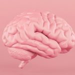Descubren que el cerebro humano sano alcanza temperaturas más altas de lo que se sospechaba