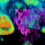 Capturan la primera película en 3D y en tiempo real de un virus en busca de una célula hospedante