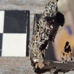 Descubren en un meteorito 2 nuevos minerales nunca antes vistos en la Tierra