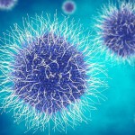 Sorprendentes enzimas encontradas en virus gigantes del océano