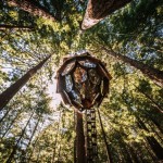 Duerme en una cabaña piña de cristal en medio del bosque