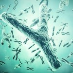 ¿Qué ocurrió con el cromosoma Y, hace 7.000 años?